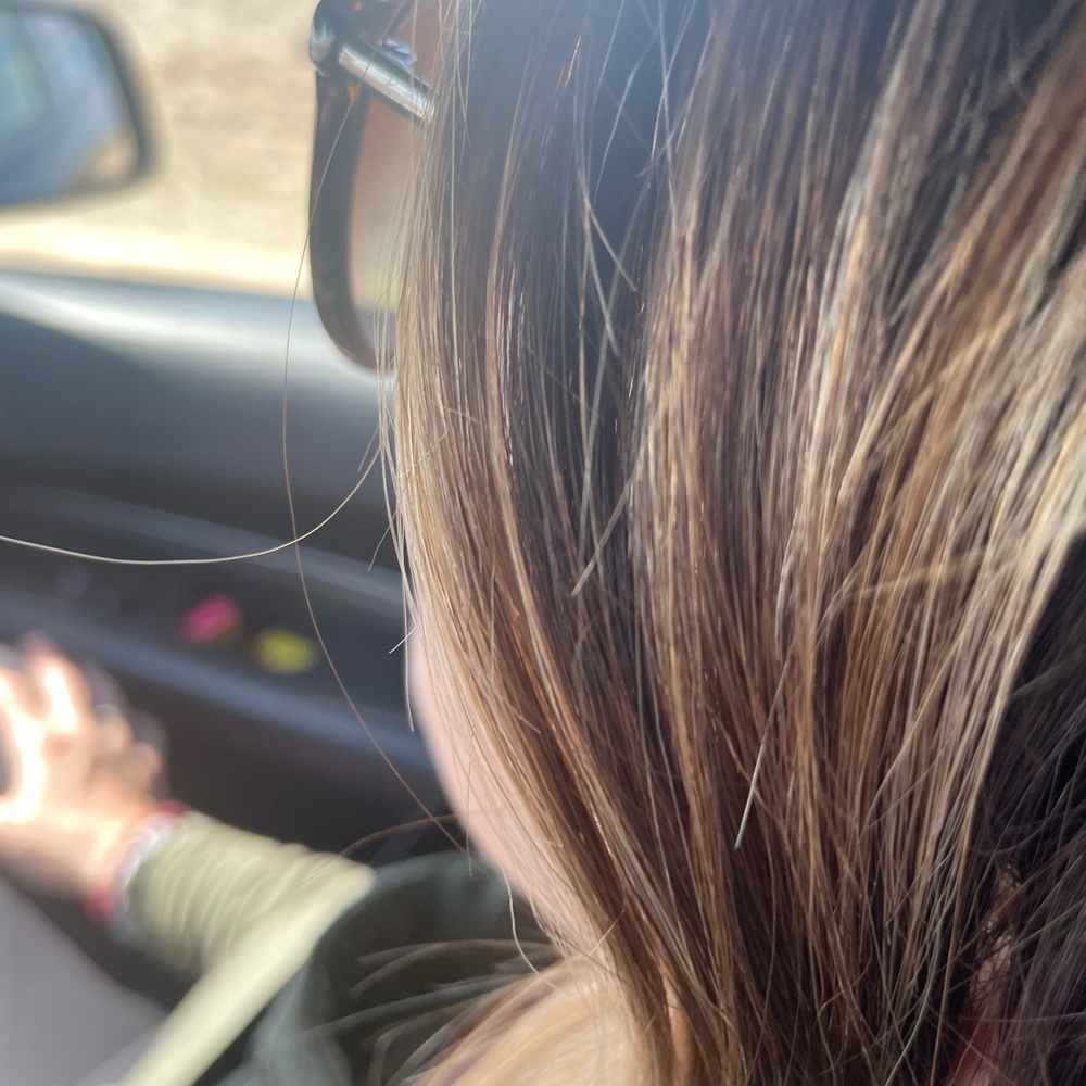 Meet your Posher, Jessie